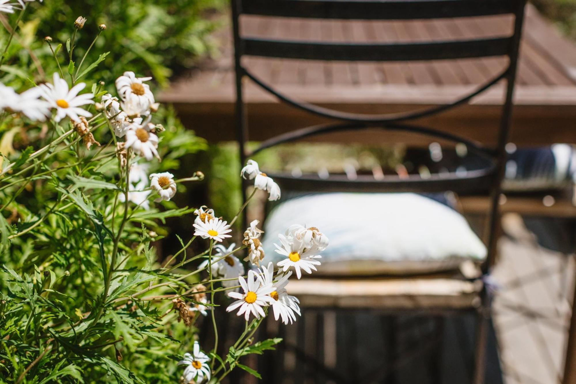 Haumoana Herb Cottage Buitenkant foto